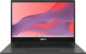 Asus Chromebook CM14 (CM1402C) 14" MediaTek Kompanio 520 2.0GHz / 4GB RAM / 64GB SSD full review and technical specifications