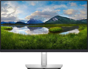 Dell P2422HE 23.8" full review and technical specifications