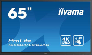 iiyama Prolite TE6504MIS-B2AG 65" full review and technical specifications