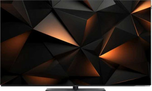 Loewe WE. SEE 55"