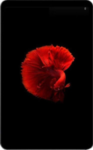 Alldocube iPlay 50 Mini full review and technical specifications