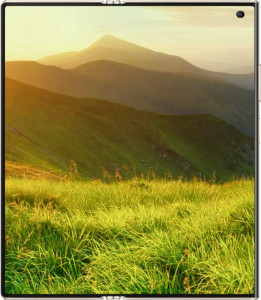 Honor V Purse full review and technical specifications