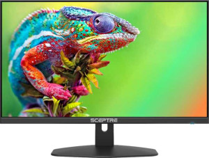 Sceptre E248W-F100T 24" full review and technical specifications