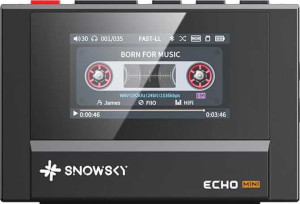 FiiO SnowSky Echo Mini