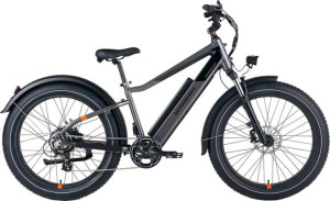 Rad Power Bikes RadRover 6 Plus Electric Fat Bike full review and technical specifications