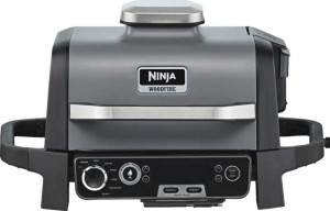 Ninja Woodfire Pro Outdoor Grill OG751 full review and technical specifications