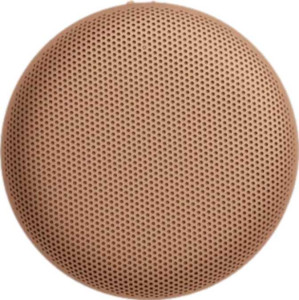 Bang & Olufsen Beosound A1 3rd Gen