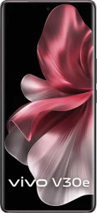 Vivo V30e